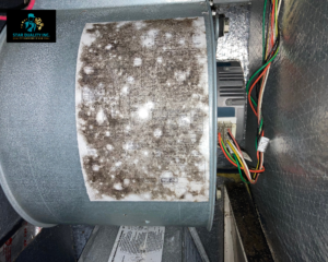 mold spores on blower